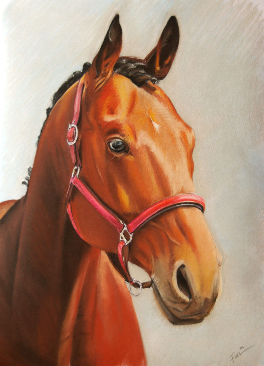 Portrait from photo - soft pastel drawing of a horse