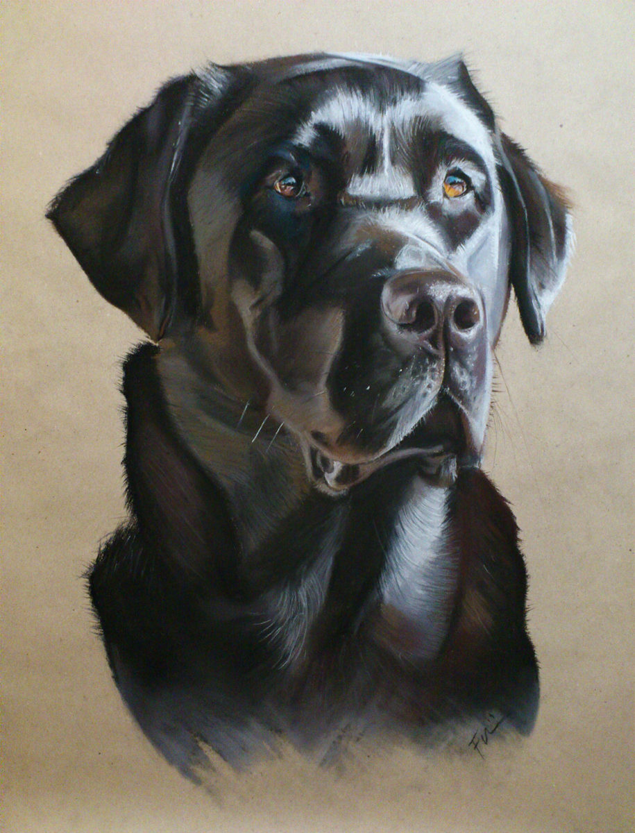 portrait from photo - dog painting, soft pastel
